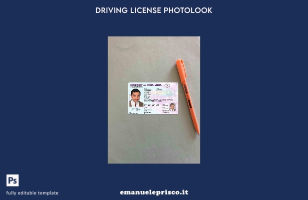 modello FRONTALE photolook DL del Distretto di Columbia USA stile verificato